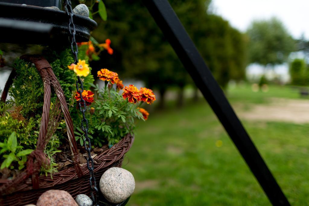 Osrodek Wypoczynkowy Klif I Villa Gąski Buitenkant foto